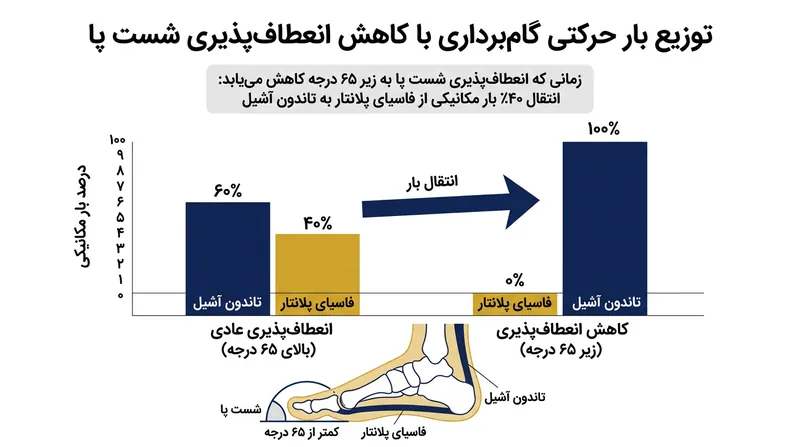 محدود شدن دامنه حرکتی شست، تاندون آشیل و عضلات ساق را وادار به تحمل فشار گام‌برداری می‌کند.