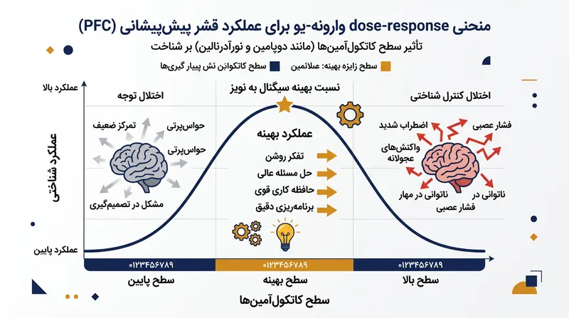 قشر پیش‌پیشانی بر مبنای منحنی U معکوس کار می‌کند؛ حالتی که در آن تحریک کم یا بیش از حد تمرکز را کاهش می‌دهد.
