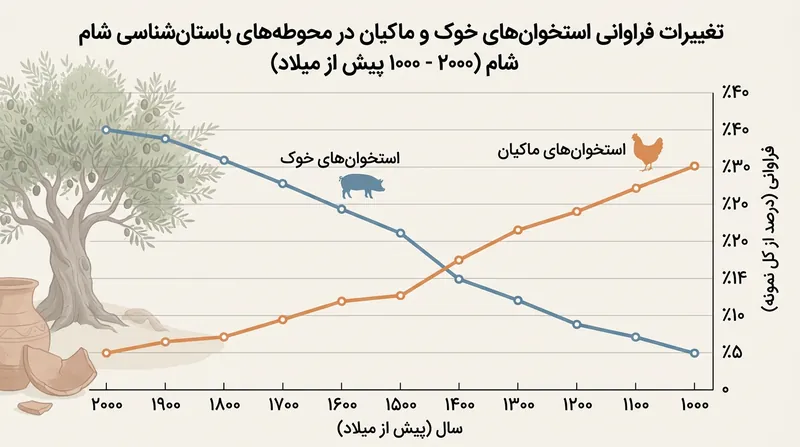 همزمان با کاهش جمعیت خوک‌ها در آبادی‌های کوهستانی شام، مرغ اهلی جای خالی آن را در ساختار معیشتی پر کرد.