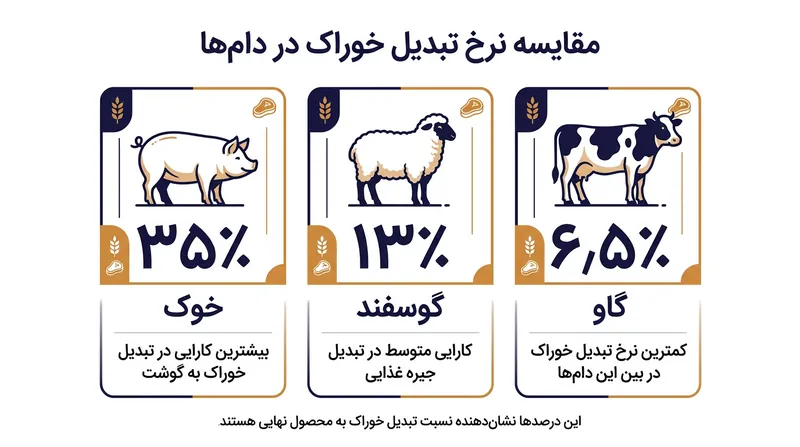 خوک ضریب تبدیل خوراک بالایی به گوشت دارد، اما رژیم غذایی کم‌سلولز آن را مستقیماً رو در روی مصرف غلات انسان قرار می‌دهد.