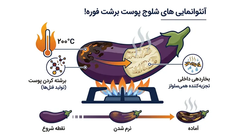 حرارت بالای ۲۰۰ درجه سانتی‌گراد، پوست بادمجان را زغالی کرده و بافت داخلی آن را بخارپز می‌کند.