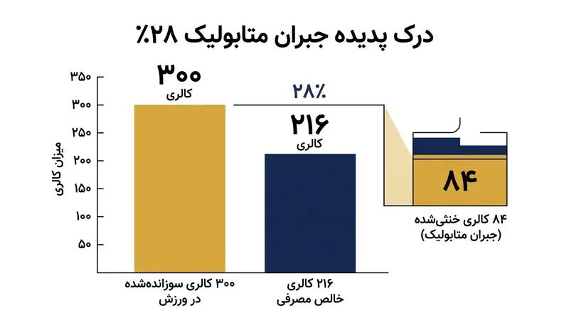 میانگین جبران متابولیک تقریباً یک‌سوم کالری‌های سوزانده‌شده در ورزش را خنثی می‌کند.