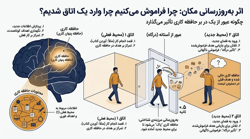مغز به محض عبور از مرز یک رویداد، حافظه کاری فعال را پاکسازی می‌کند تا فضا را برای پردازش محیط تازه مهیا سازد.