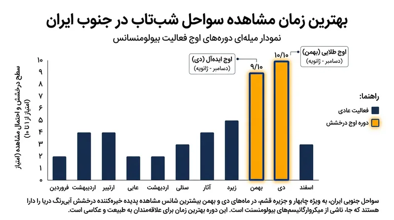 ماه‌های دی و بهمن به دلیل شرایط دمایی مناسب آب، بهترین زمان برای رویت این پدیده در سواحل جنوبی ایران هستند.