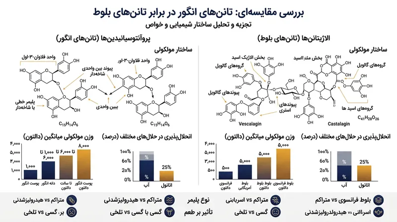 تفاوت ساختار مولکولی تانن‌های استخراج‌شده از پوست انگور در مقایسه با تانن‌های چوب بلوط.