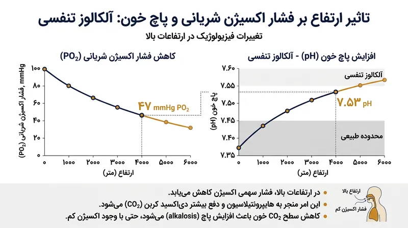 افت فشار اکسیژن و بروز آلکالوز تنفسی در ارتفاع ۵۰۰۰ متری.