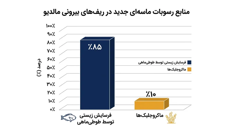 طوطی‌ماهی‌ها عامل پدید آمدن بخش عمده رسوبات جدید ساحلی در جزایر مرجانی گرمسیری هستند.
