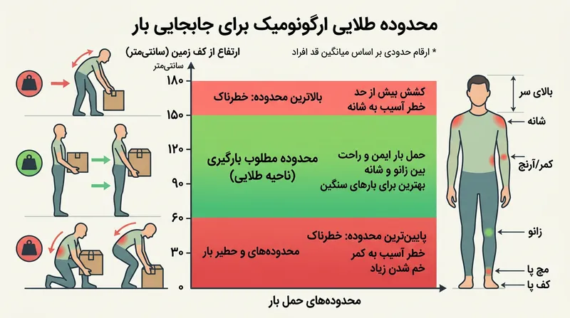 منطقه طلایی دسترسی؛ فضایی بین زانو تا شانه که برای نگهداری وسایل سنگین و پرکاربرد ایده‌آل است.