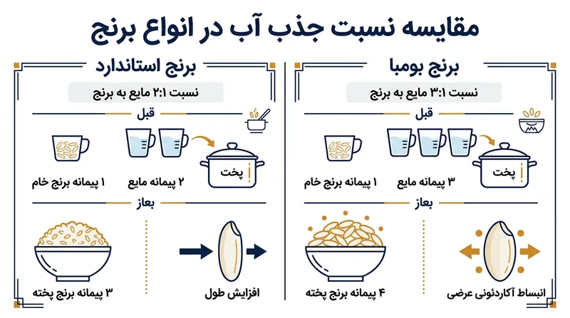 برنج بومبا می‌تواند تا سه برابر حجم خود مایعات را جذب کند که این مقدار بسیار بیشتر از برنج‌های معمولی است.