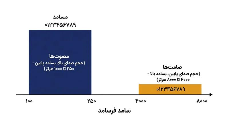 مصوت‌ها انرژی و قدرت فیزیکی صدا را به دوش می‌کشند، در حالی که صامت‌های فرکانس‌بالا تفکیک‌کننده مرزهای واژگان هستند.