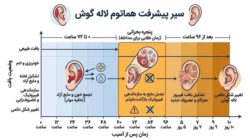 فرصت طلایی مداخله درمانی بسیار کوتاه است، زیرا خون جمع‌شده به‌سرعت به غضروف فیبروزی سفت تبدیل می‌شود.