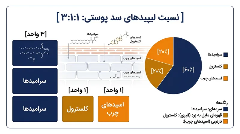 نسبت طلایی ۳:۱:۱؛ فرمولی که ساختار طبیعی لیپیدهای پوست را شبیه‌سازی می‌کند.