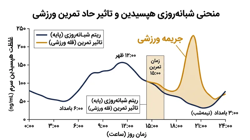 تمرین در بعدازظهر با تشدید افزایش طبیعی هپسیدین در غروب، سدی بزرگ در برابر جذب آهن پدید می‌آورد.