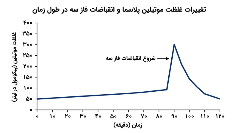 انقباضات فاز سه زمانی آغاز می‌شوند که غلظت موتیلین پلاسما از آستانه تقریبی ۳۰۰ پیکومول در لیتر عبور کند.