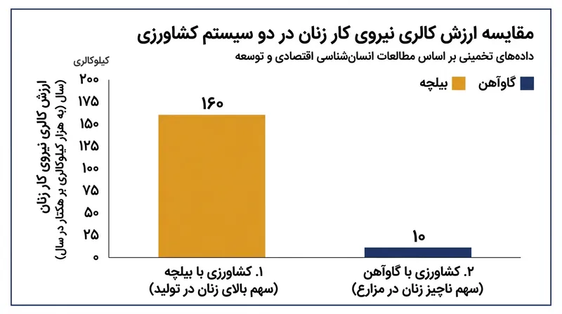 بیومکانیک مهار چهارپایان سهم کار زنان در زمین‌های زراعی را به شدت تقلیل داد.