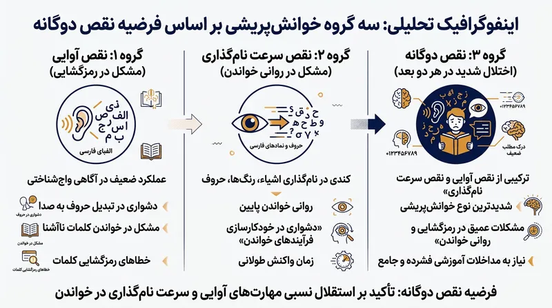 فرضیه نقص دوگانه اختلالات خواندن را به سه نمایه شناختی متمایز دسته‌بندی می‌کند.
