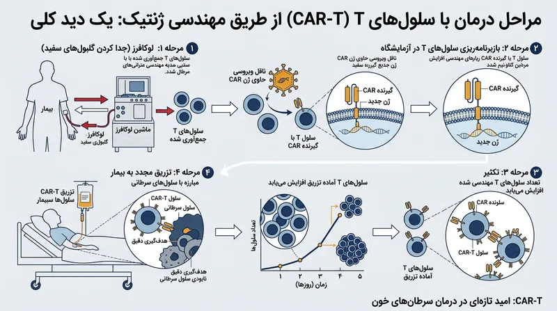مراحل استخراج، مهندسی ژنتیک و بازگرداندن سلول‌های ایمنی به بدن بیمار.