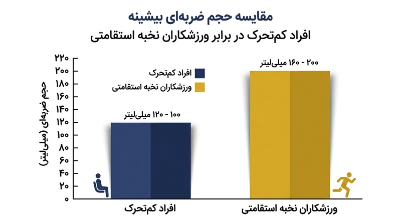 تمرینات استقامتی سقف هوازی را عمدتا با افزایش حجم خونی که در هر ضربان پمپاژ می‌شود، ارتقا می‌دهند.