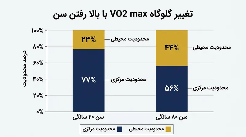 با افزایش سن، افت جذب اکسیژن در عضلات به محدودیت بسیار بزرگ‌تری برای توان هوازی تبدیل می‌شود.