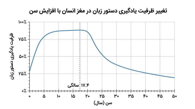 توانایی یادگیری دستور زبان تا سن ۱۷.۴ سالگی در اوج باقی می‌ماند و پس از آن افتی ناگهانی را تجربه می‌کند.