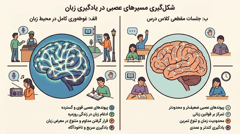 آموزش مدرسه‌ای بر حافظه خودآگاه تکیه دارد و فارغ از سن زبان‌آموز، سقفی محدود بر تسلط گرامری اعمال می‌کند.