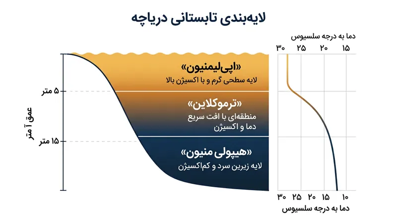 در طول تابستان، لایه ترموکلاین مانع نفوذناپذیری می‌سازد که ارتباط هیپولی‌منیون عمیق را با اکسیژن هوا قطع می‌کند.