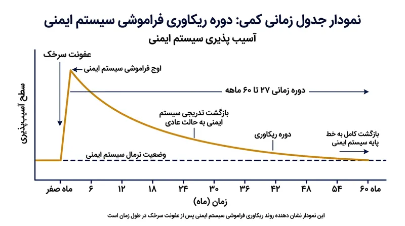 بازسازی کامل حافظه محافظتی سیستم ایمنی پس از ابتلا به سرخک، به‌طور میانگین ۲۷ ماه و گاه تا ۵ سال به درازا می‌کشد.