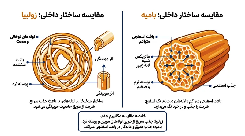 تفاوت ساختار داخلی: لوله‌های توخالی زولبیا در برابر شبکه متخلخل و اسفنجی بامیه.