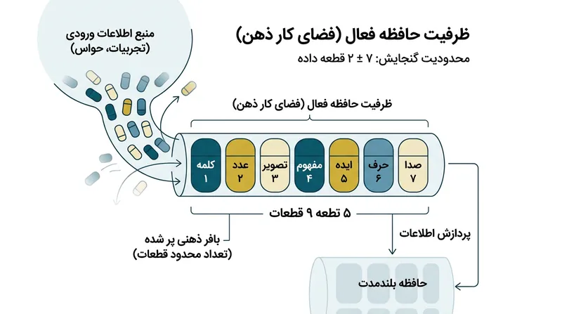 حافظه فعال تنها توانایی نگهداری تعداد محدودی بسته اطلاعاتی را دارد و برای تخلیه کامل نیازمند استراحت طولانی‌تر است.