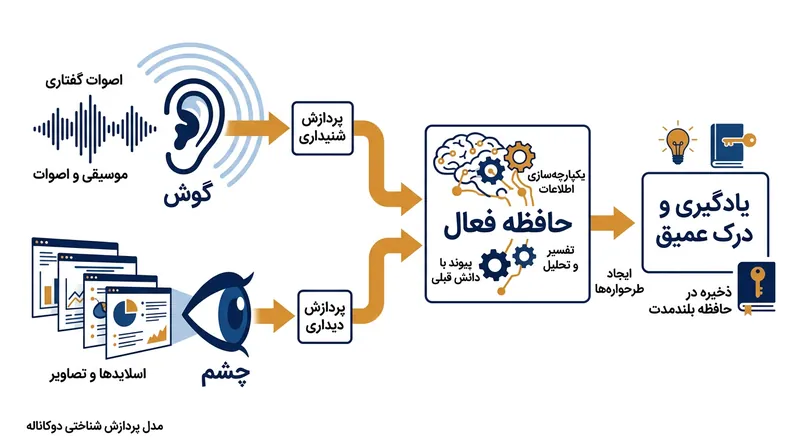ابزارهای تصویری با تقسیم بار شناختی، به مغز در تحلیل گفتار با دور تند کمک می‌کنند.