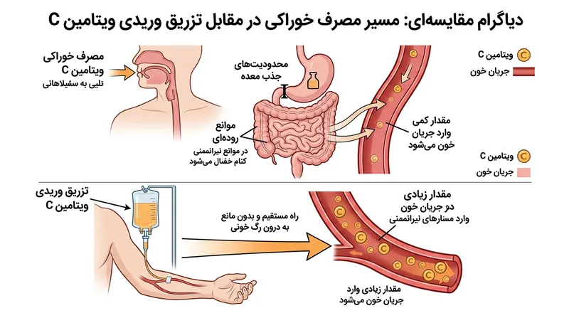تزریق وریدی محدودیت‌های انتقالی روده را دور زده و امکان افزایش شدید و موقت غلظت پلاسما را فراهم می‌آورد.