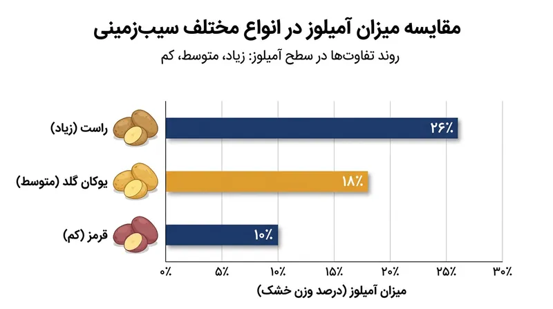 سیب‌زمینی‌های پرنشاسته مانند رقم راست (Russet) آمیلوز بیشتری دارند و در صورت دستکاری مکانیکی بیش‌ازحد، زودتر حالت کشسان پیدا می‌کنند.