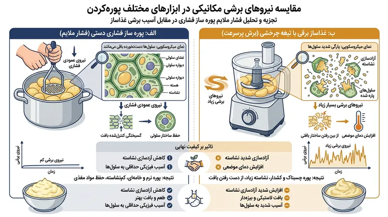 پوره‌ساز دستی (رایسر) سلول‌ها را به‌آرامی از هم سوا می‌کند، در حالی که تیغه غذاساز دیواره آن‌ها را پاره می‌کند.