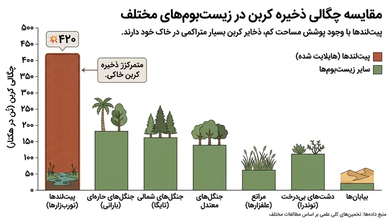 با استانداردسازی بر پایه مساحت، پیت‌لندها متراکم‌ترین و از نظر مکانی کارآمدترین جاذب کربن در خشکی‌های زمین شناخته می‌شوند.
