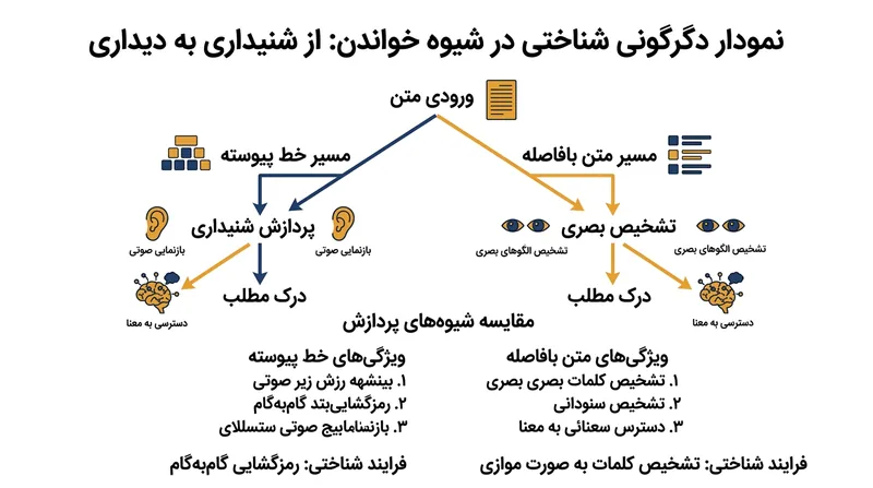 فاصله‌گذاری واژه‌ها مسیر اندام‌های صوتی را دور زد و به عصب بینایی امکان داد کل واژه را در یک چشم‌برهم‌زدن پردازش کند.