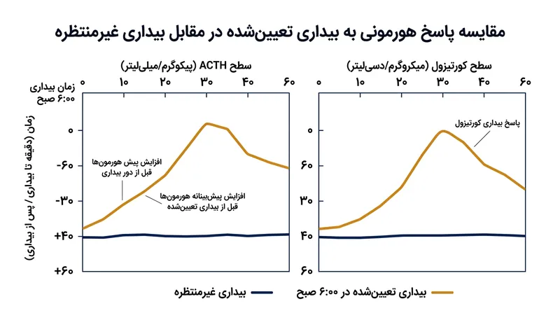 جهش پیش‌دستانه هورمون ACTH یک ساعت پیش از زنگ ساعت مورد انتظار آغاز می‌شود، اما در بیداری‌های ناگهانی وجود ندارد.