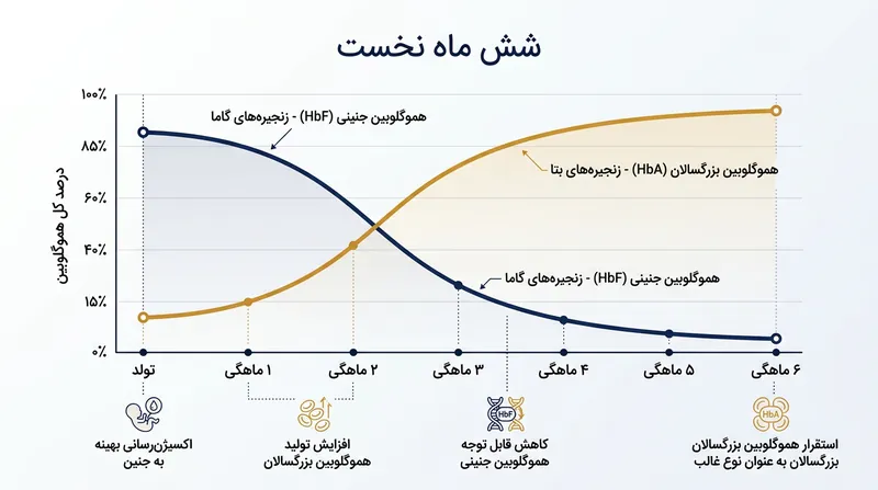 نوزادان در مدت کوتاهی پس از تولد، هموگلوبین جنینی با تمایل بالا را با نوع بالغ جایگزین می‌کنند.