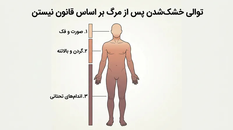قانون نیستن نشان می‌دهد جمود نعشی پیش از سرایت به اندام‌ها، ابتدا در عضلات کوچک‌تر صورت پدیدار می‌شود.