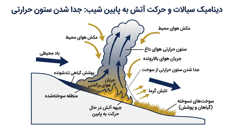 پیشروی آتش در سرپایینی کند است زیرا ستون حرارتی از سوخت نسوخته پایین‌دست فاصله می‌گیرد.