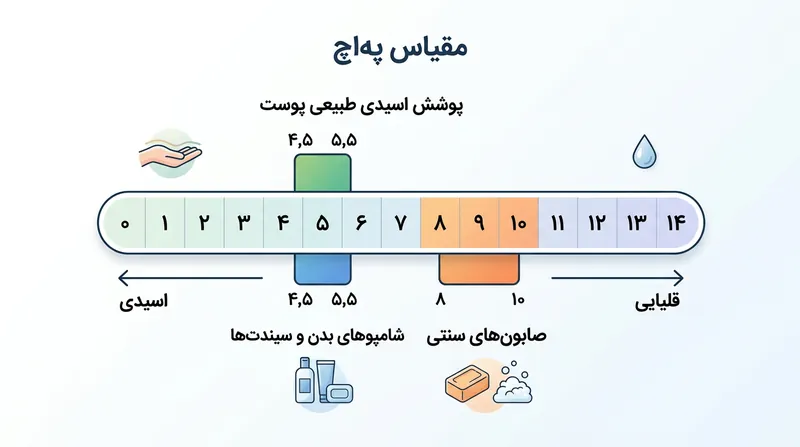 برخلاف صابون‌های قلیایی، شوینده‌های سیندت طوری فرموله می‌شوند که با اسیدیته ملایم پوست همخوانی داشته باشند.