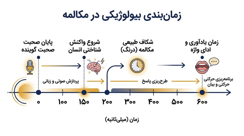 مغز انسان پایان جمله را پیش‌بینی می‌کند تا در پنجره مکالمه ۲۰۰ میلی‌ثانیه‌ای پاسخ دهد.