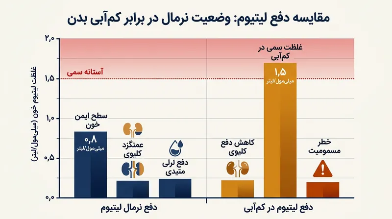 کاهش حجم مایعات دفع لیتیوم را شدیداً مختل کرده و غلظت خونی آن را به محدوده مسمومیت می‌رساند.