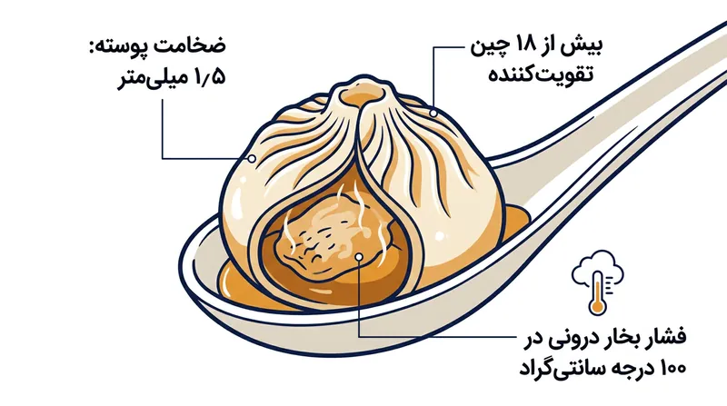 کالبدشکافی ساختاری یک شیاولونگ‌بائوی سنتی.