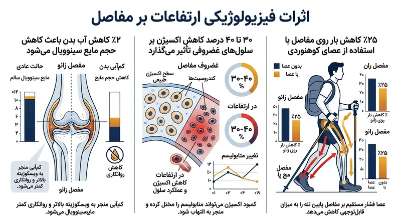 تاثیرات فیزیولوژیک ارتفاع بر مفاصل و راهکارهای مقابله با آن.