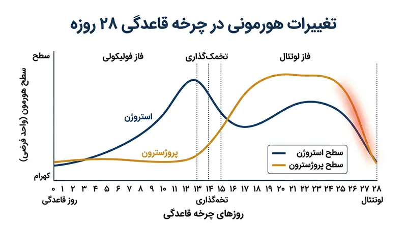 افت شدید پروژسترون در روزهای پایانی فاز لوتئال، باعث خروج ناگهانی نئوروستروئیدهای ضدتشنج از بافت مغز می‌شود.