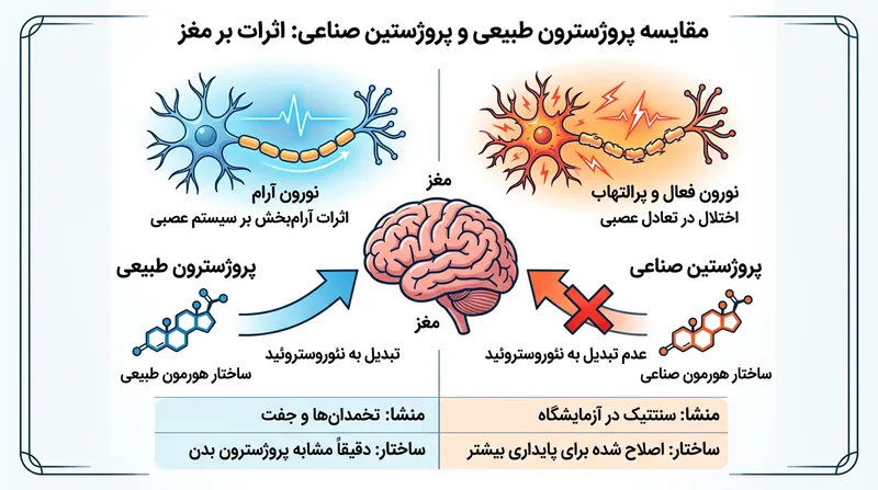 برخلاف پروژسترون طبیعی، پروژستین‌های صنعتی قرص‌های ضدبارداری قابلیت تبدیل به نئوروستروئیدهای محافظتی در مغز را ندارند.