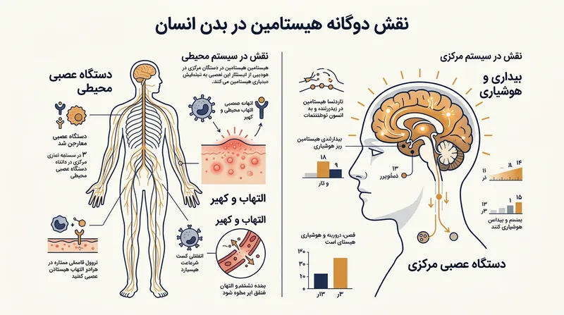 هیستامین در اندام‌های محیطی عامل التهاب است، اما در مغز نقش حیاتی پیام‌رسان بیداری را ایفا می‌کند.