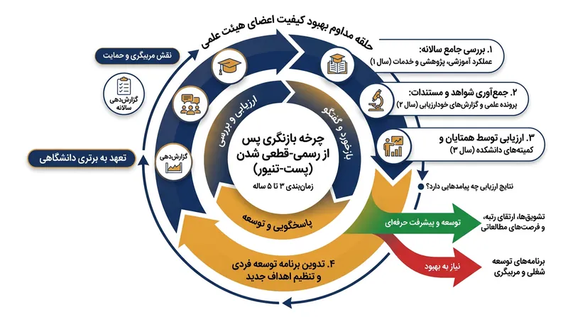 چرخه ارزیابی پس از تنیور (Post-tenure review) که هر ۳ تا ۵ سال یک‌بار انجام می‌شود.