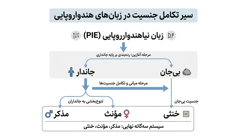 مسیر تکاملی جدایی تمایز جانداری و پیدایش جنسیت دستوری زیستی.