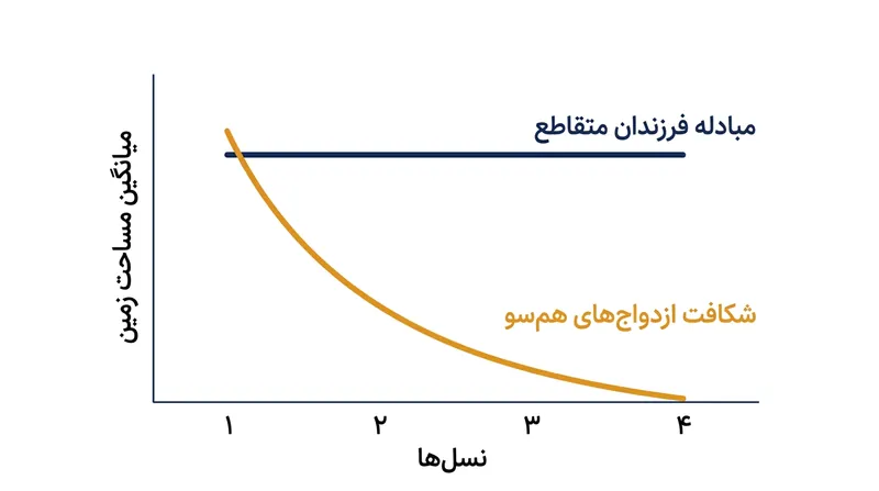 بدون دادوستد متقابل، انحصارطلبی درون‌همسرانه به‌سرعت مساحت زمین‌های انفرادی را طی چند نسل پیاپی آب می‌برد.